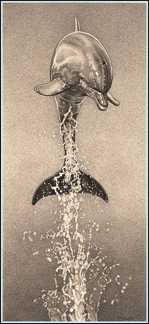 295x640 Leap For Joy''