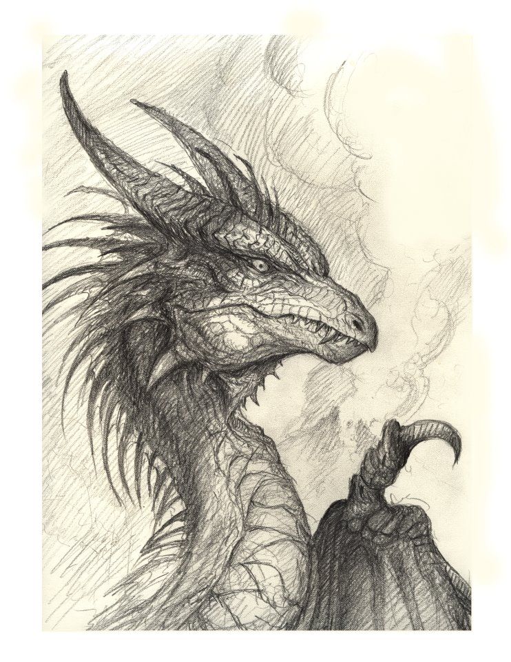742x960 The Article Features Both Realistic And Cartoon Forms Of Dragons