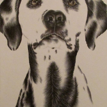 354x354 Shop Dog Drawings In Pencil On Wanelo