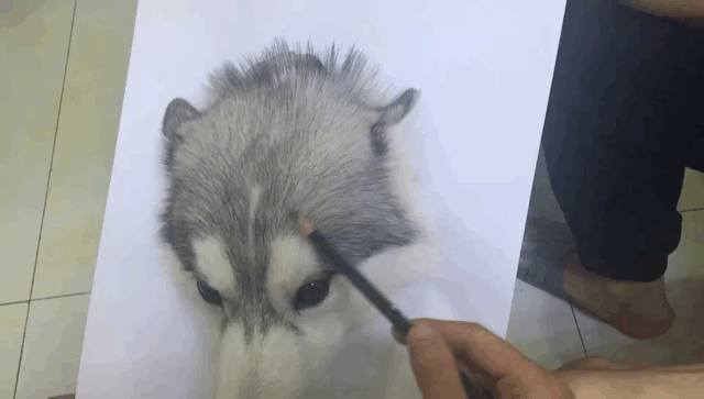 640x363 Tutorial Of Drawing A Realistic Dog