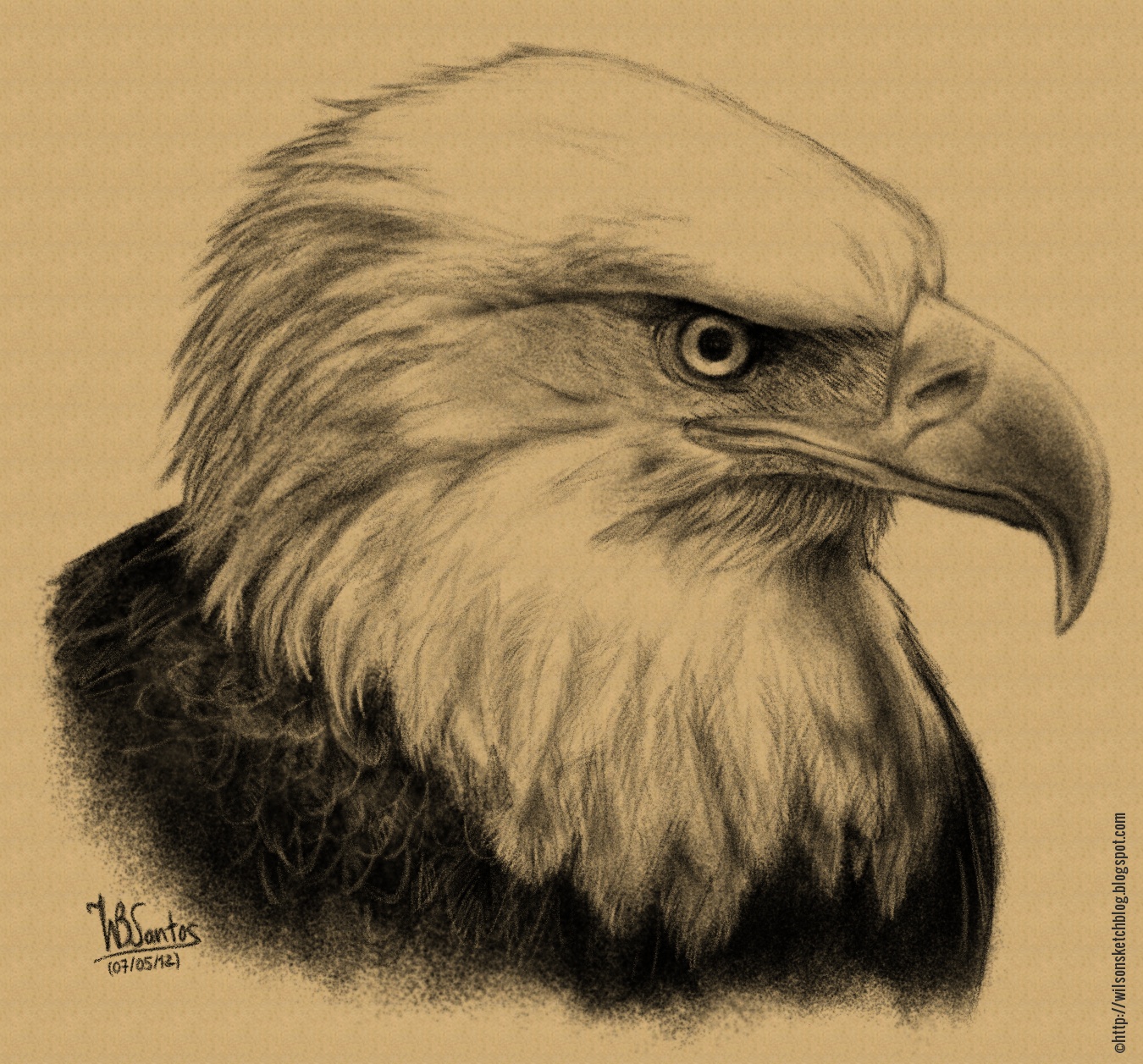 Realistic Eagle Drawing at GetDrawings | Free download