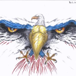 250x250 Eagle Drawing, Pencil, Sketch, Colorful, Realistic Art Images