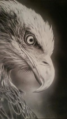 236x419 Sooner Or Later Drawingsideas Art Drawings