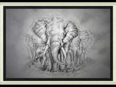480x360 Amazing Elephant Drawing! In Hd! Step By Step.