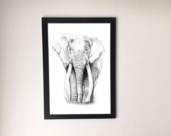 340x270 Elephant Drawings Etsy