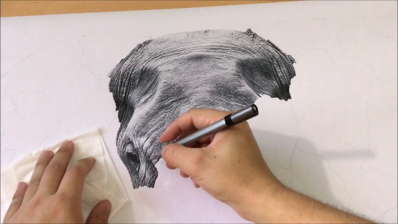 1280x720 Realistic Elephant Drawing (Timelapse)