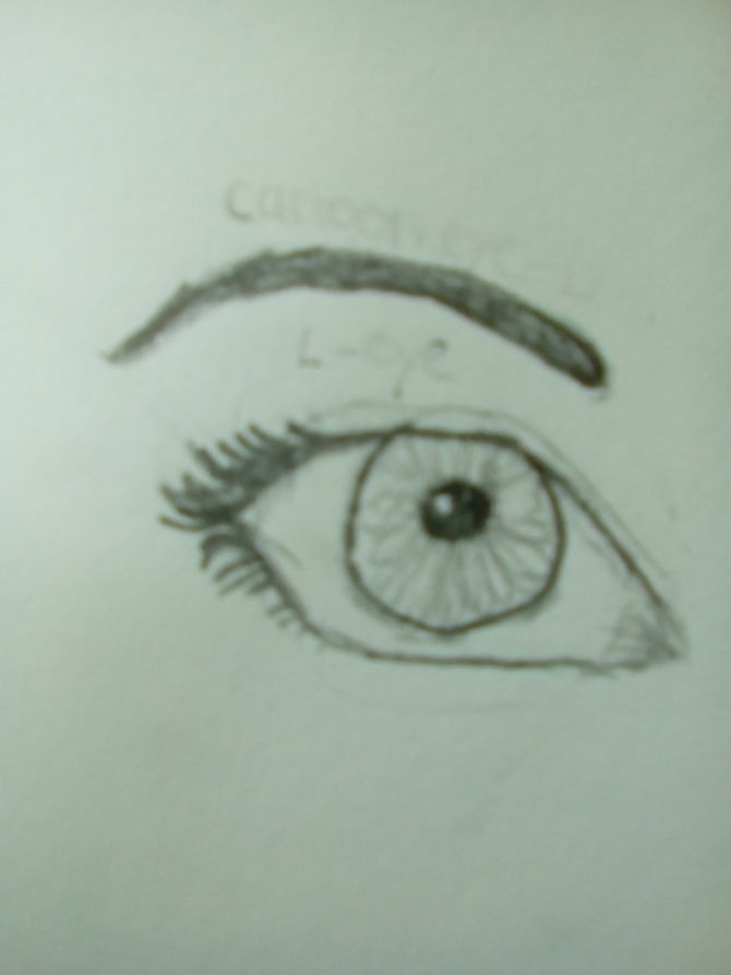 670x893 How To Draw An Eyebrow 5 Steps (With Pictures)