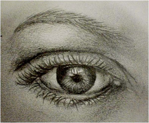 600x497 Shade The Eyebrow With 2b Pencil And Smudging As Mention