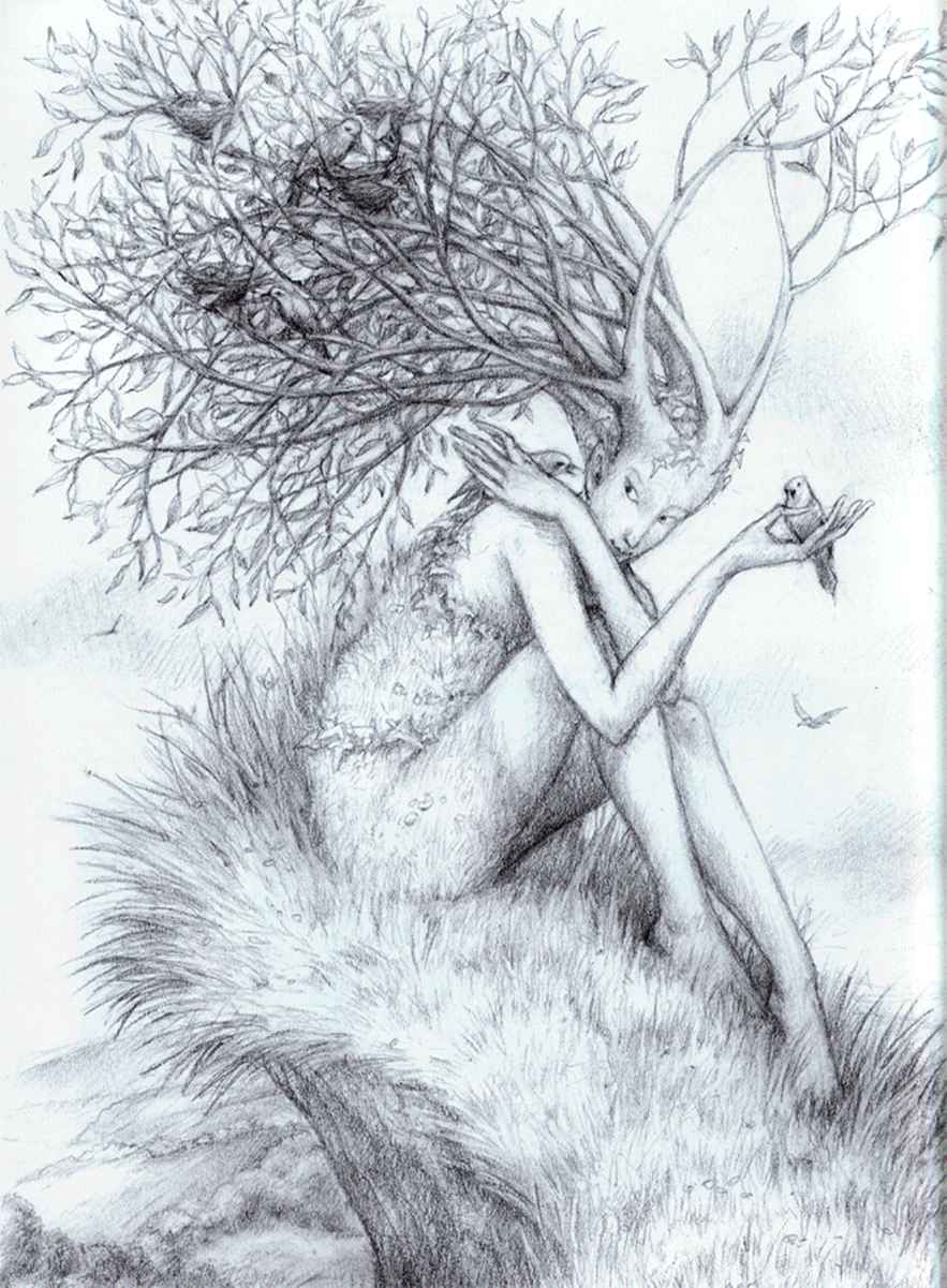 883x1201 How Draw Flying Fairies Fantasy Art Anne Boydston's Favorites