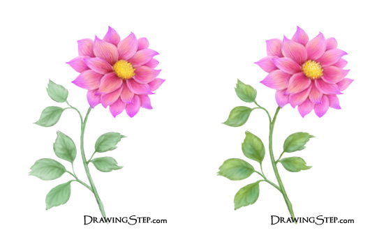 540x350 How To Draw A Flower Step By Step