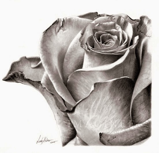 Realistic Flowers Drawing at GetDrawings | Free download