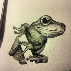 Realistic Frog Drawing at GetDrawings | Free download