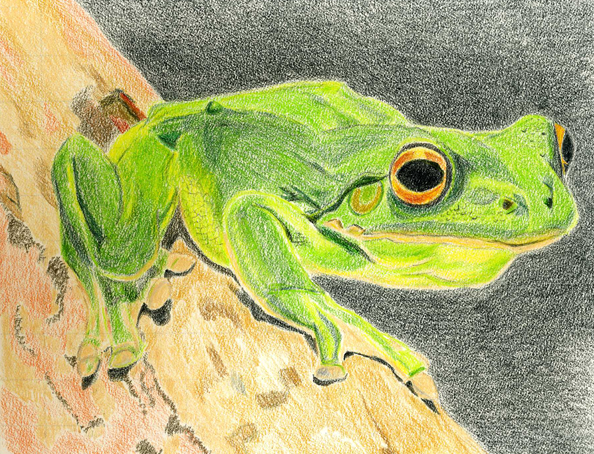 594x454 January 2011 Three Color Disasters