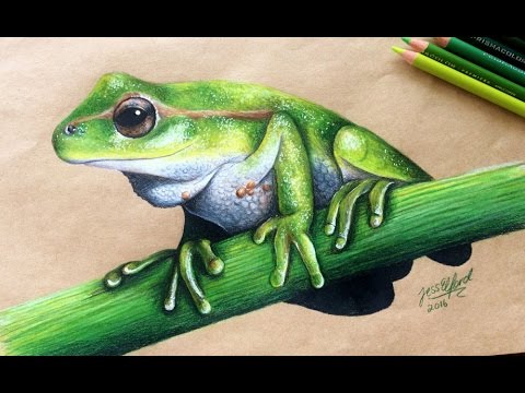 480x360 Speed Drawing Realistic Frog