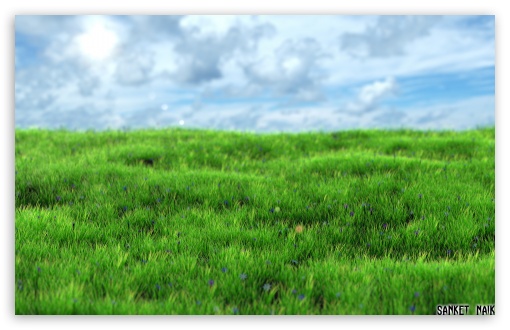 510x330 Realistic Grass 4k Hd Desktop Wallpaper For 4k Ultra Hd Tv