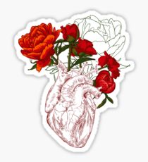 210x230 Human Heart Drawing Stickers Redbubble