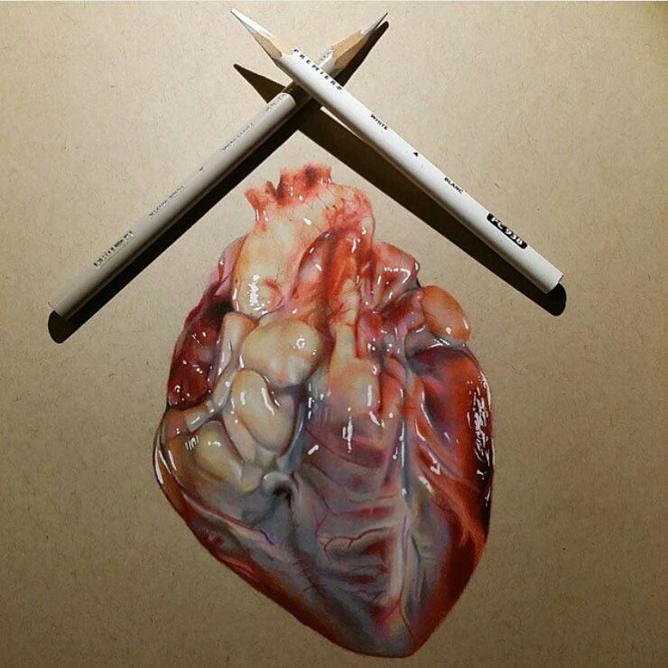 740x740 Realistic Drawing Of A Heart Art That I Love