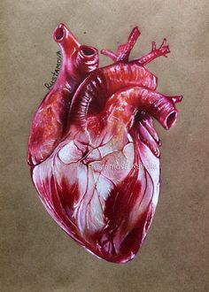 236x330 The Human Heart Is Truly A Thing Of Beauty! I Am Obsessed