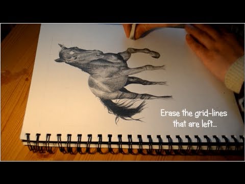 480x360 How To Draw A Realistic Horse