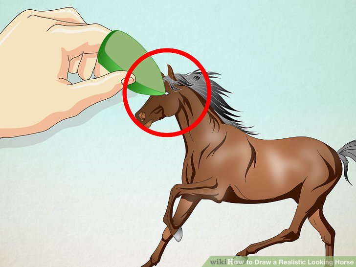 728x546 How To Draw A Realistic Looking Horse (With Pictures)