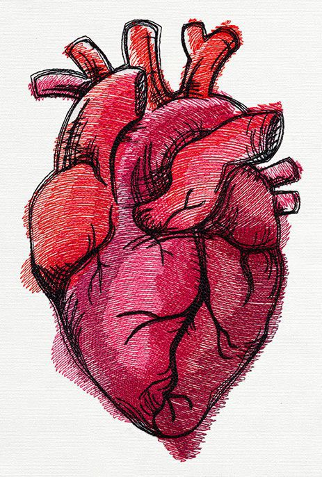 463x686 Imagen De Heart And Art Dibujos Drawings, Sketches