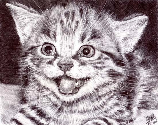  Realistic Kitten Drawing at GetDrawings.com Free for 