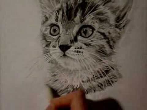 480x360 Kitten Drawing