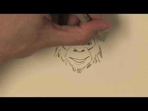480x360 Drawing Amp Illustration How To Draw A Real Monkey