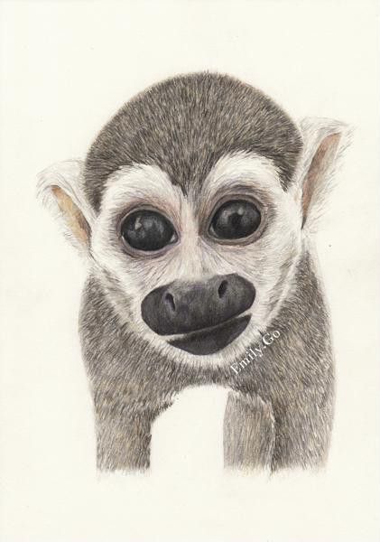 421x600 My Colour Pencil Drawing Of The Adorable Heather The Squirrel