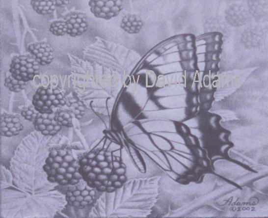 546x444 Realistic Drawings Of Nature