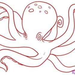 250x250 Octopus Drawing, Pencil, Sketch, Colorful, Realistic Art Images