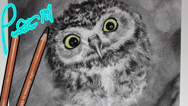640x360 How To Draw A Realistic Baby Owl