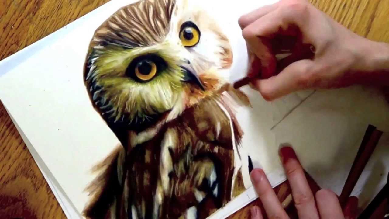 1280x720 Realistic Drawing Of An Owl