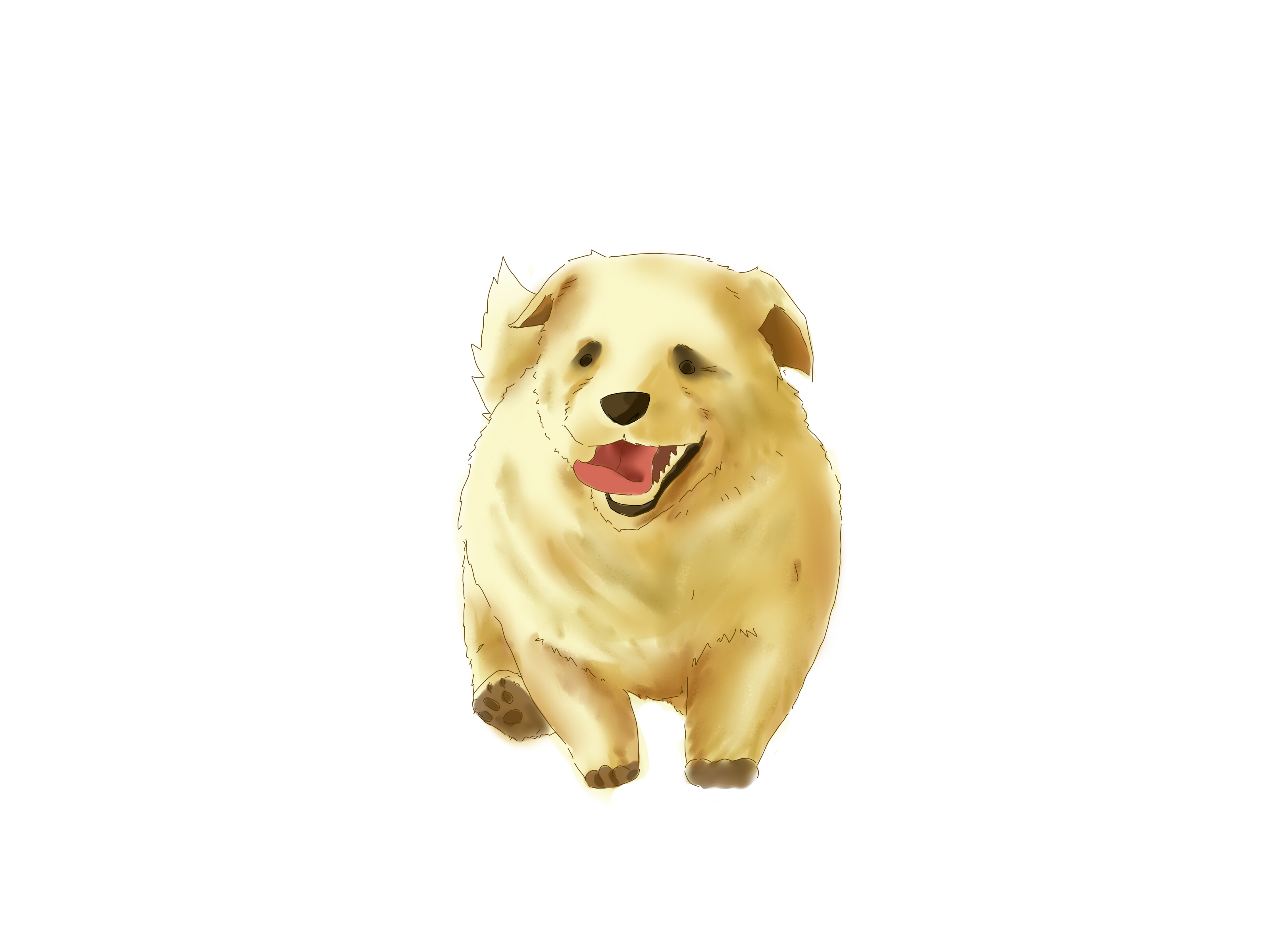 3200x2400 4 Ways To Draw A Puppy