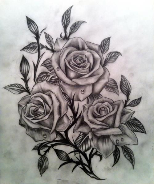 500x595 Rose Drawing