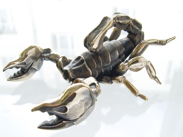 600x450 Scorpion Drawings 01