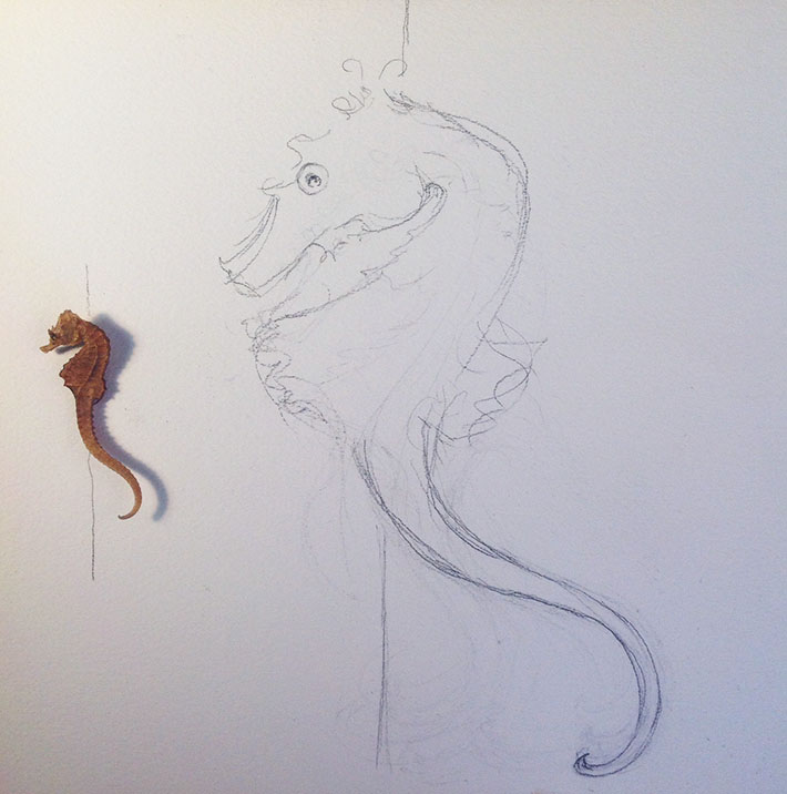 710x716 How To Draw And Paint A Seahorse Step By Step