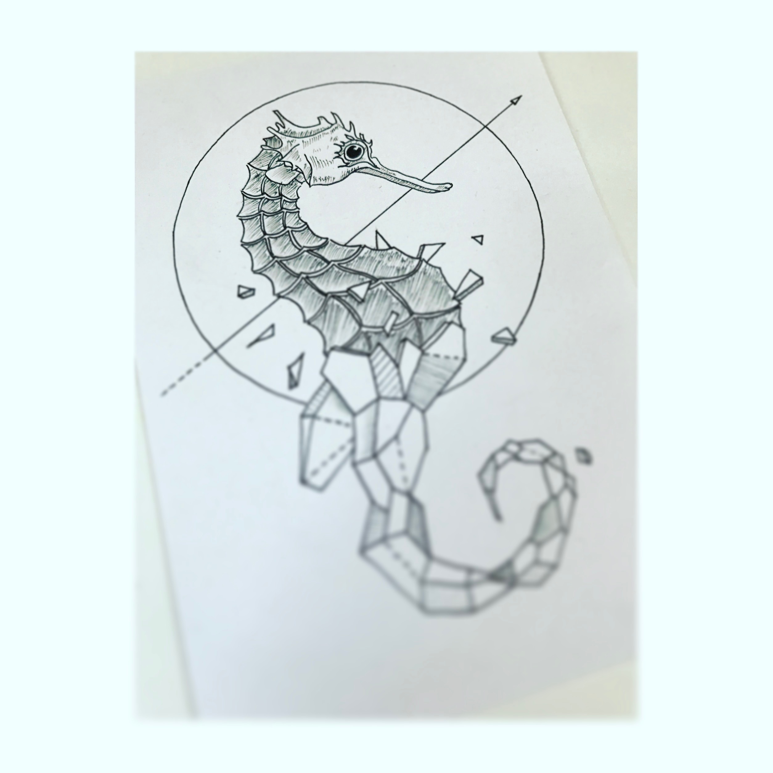 Realistic Seahorse Drawing at GetDrawings | Free download