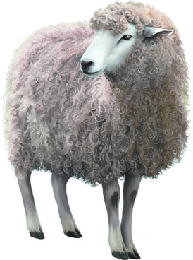 274x368 Sheep Free Vector Download (229 Free Vector) For Commercial Use