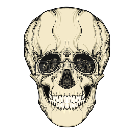 450x450 Human Skull Realistic Hand Drawing Isolated Stock Line Vector
