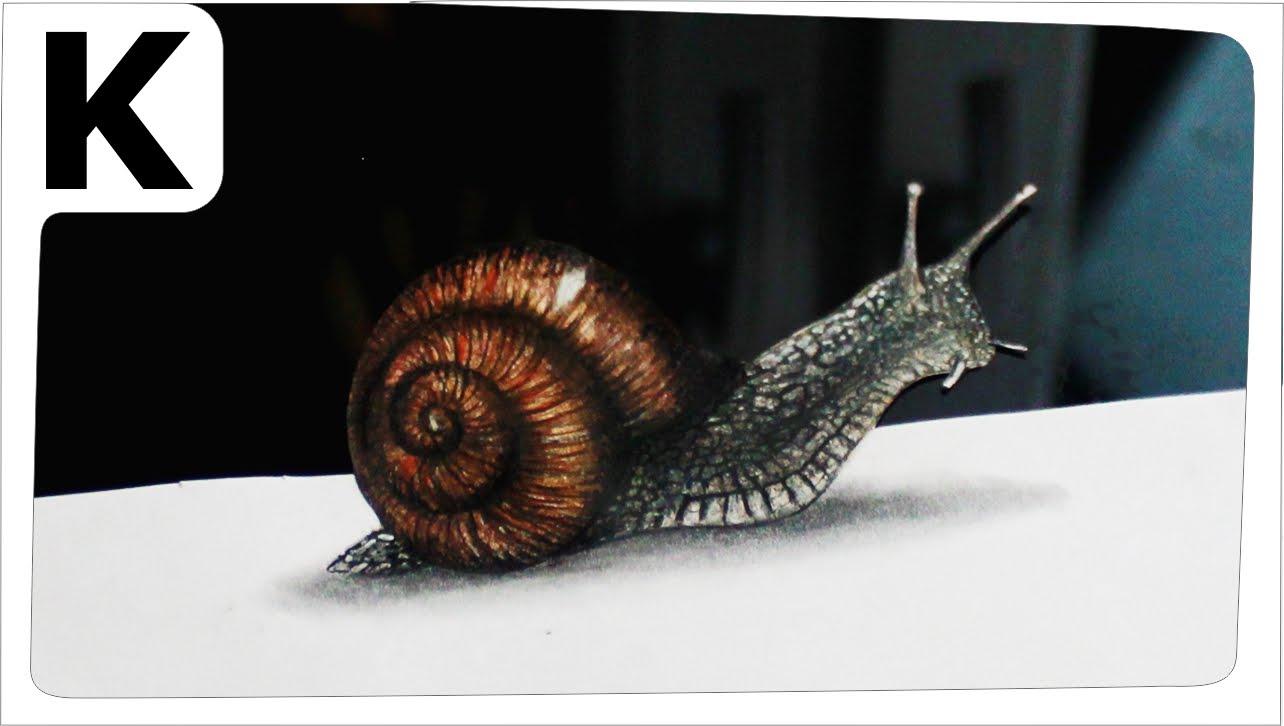 1284x726 How To Draw 3d Optical Illusion Snail
