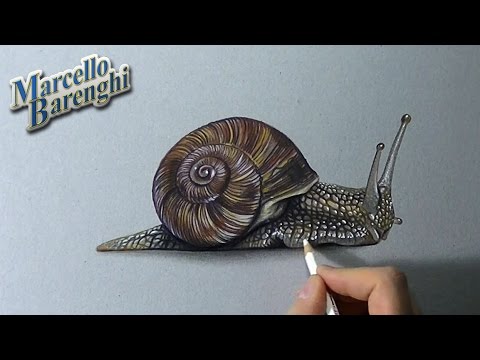 480x360 How To Draw A 3d Snail