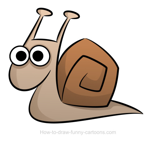 500x455 Snail Drawings (Sketching + Vector)