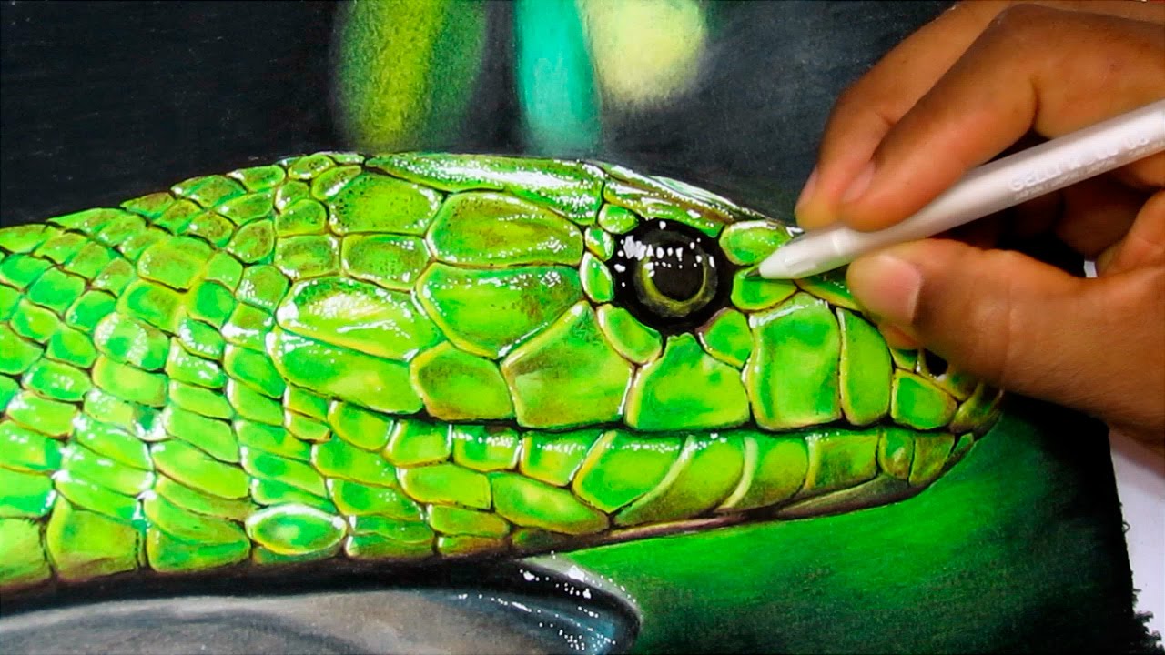 1280x720 How To Draw A Realistic Snake Time Lapse