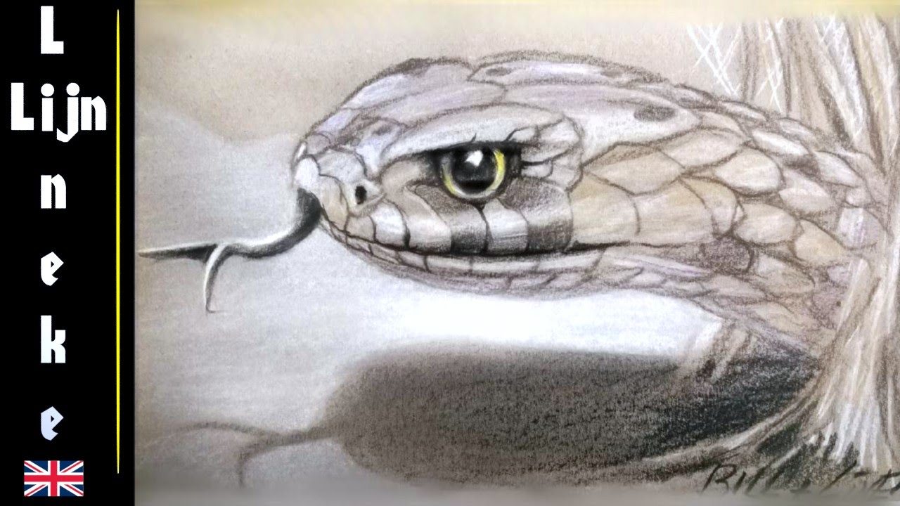 1280x720 Realistic Snake Drawing In Pastel Pencil