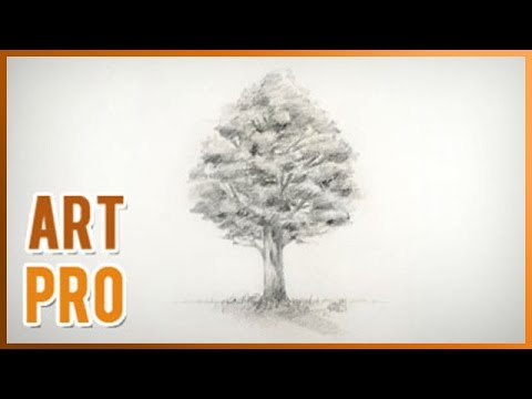 480x360 How To Draw A Realistic Tree Step By Step