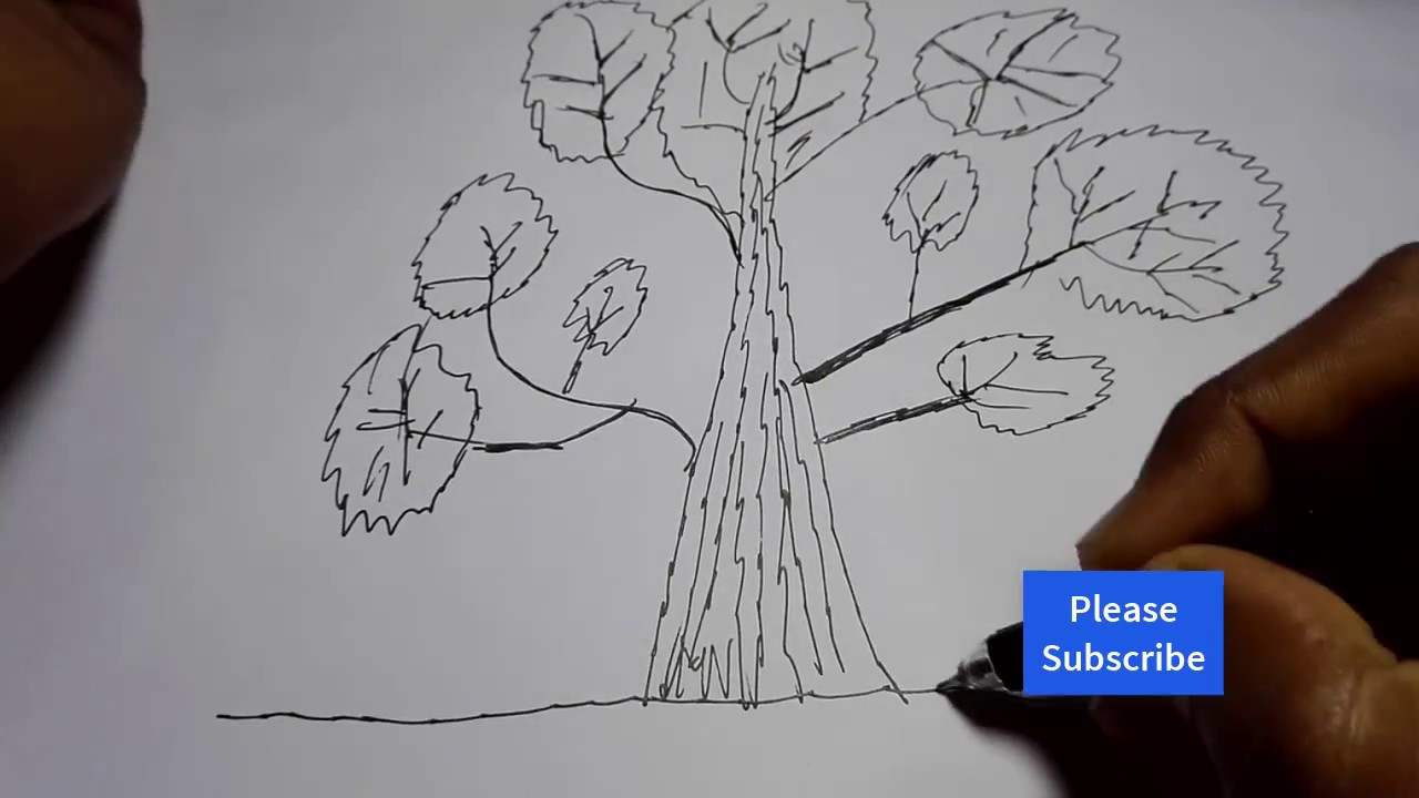 1280x720 How To Draw Big Trees Draw A Simple Tree Draw Realistic Trees