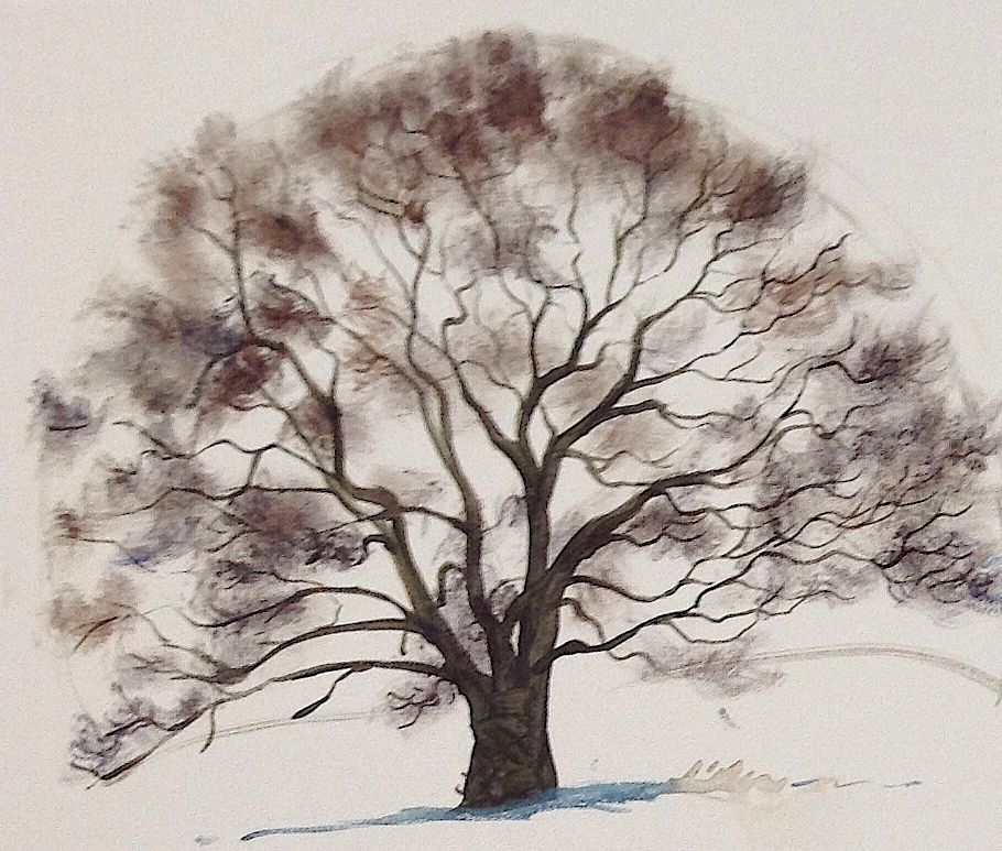 910x773 Pictures Drawing Amp Painting Trees In Draw Amp Paint Realistic