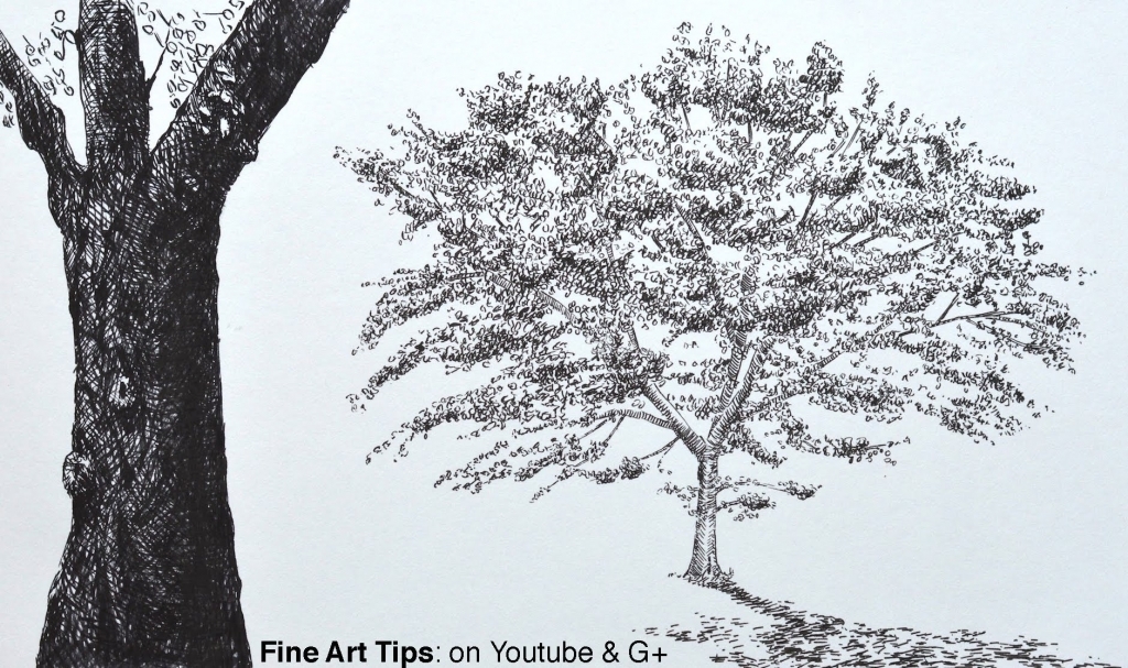1024x607 Realistic Tree Drawings How To Draw A Tree With Brush Pens An Oak