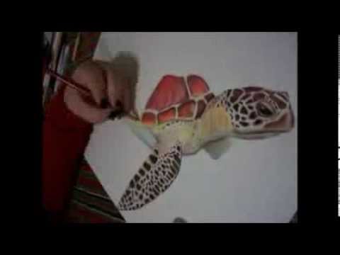 480x360 Prismacolor Sea Turtle Drawing